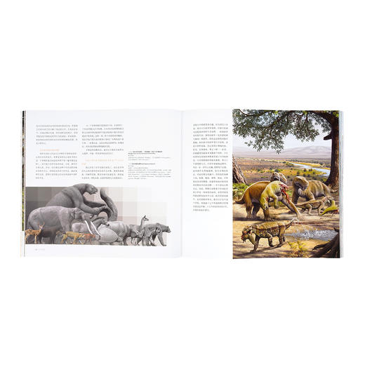 《恐龙再现》 见证古生物复原艺术的奥秘 10-100岁 读小库 自然科普 古生物艺术 商品图2