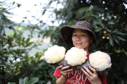 猫太推荐----特级古田新鲜银耳，一份6朵(顺丰快递) 商品图1
