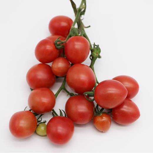 有机小番茄（千禧） 500g 商品图1