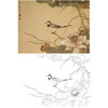 陈之佛工笔花鸟白描底稿《秋荷》-斗方小品册页-多种白描尺寸可选-QA57 商品缩略图0
