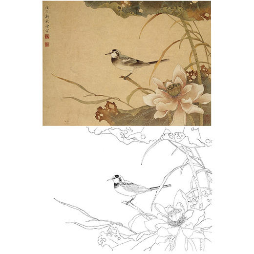 陈之佛工笔花鸟白描底稿《秋荷》-斗方小品册页-多种白描尺寸可选-QA57 商品图0