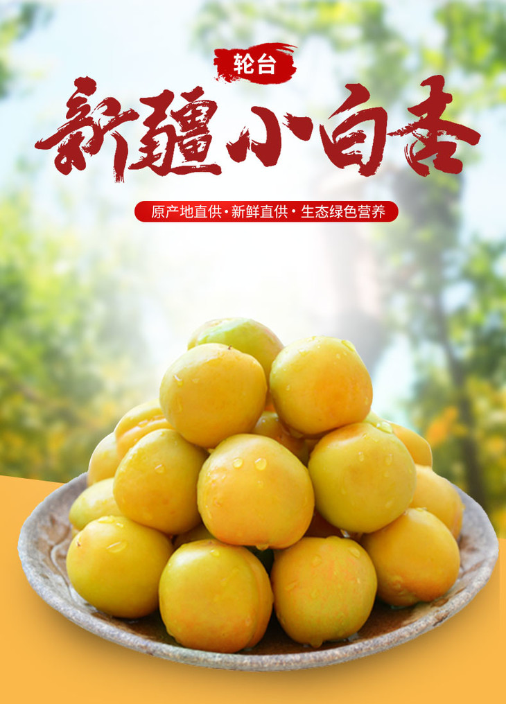 73【成都仓发货】正宗新疆小白杏礼盒装(发全国48