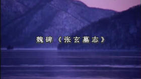 虞晓勇：历代书法临习魏碑《张玄墓志》