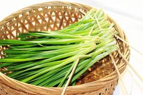 自产/有机种植韭菜
