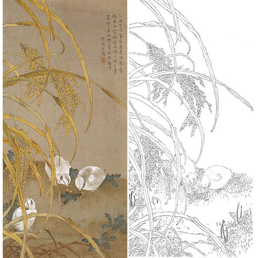 陈之佛竖幅工笔花鸟白描底稿《秋禾新雏》-多种白描尺寸可选-QA56 商品图0