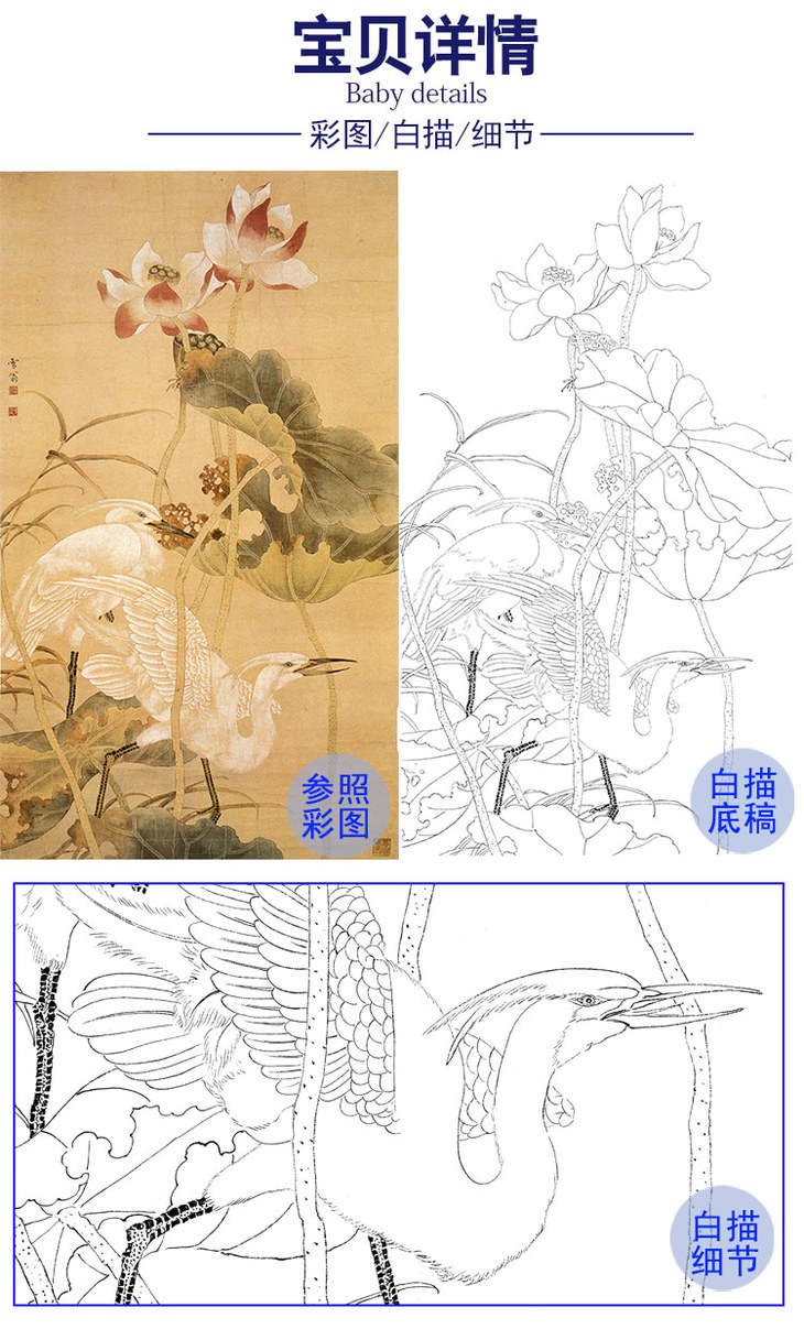 陈之佛竖幅工笔花鸟白描底稿秋荷白鹭qa58