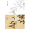 陈之佛工笔花鸟白描底稿《桐枝栖鸠》-斗方小品册页-多种白描尺寸可选-QA60 商品缩略图0