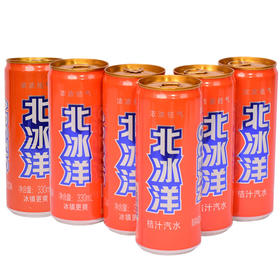 330ml*24罐高听装北冰洋橘味25年