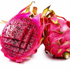 攀西裂谷阳光紫心火龙果