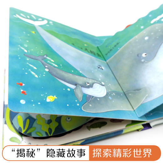 尤斯伯恩偷偷看里面·海洋  接力出版社 1-4岁 英国Usborne正版授权王牌科普 经典翻翻书 商品图5
