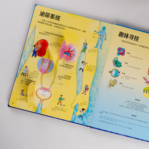 尤斯伯恩看里面·揭秘身体 Look Inside揭秘系列图书 风靡全球的科普翻翻书 被翻译成26种语言 100多张翻页 多重翻翻 深入揭秘 推拉机关 形象展示人体构造 商品图5