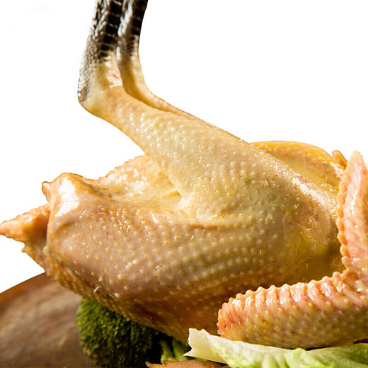 香格里拉尼西鸡 （非活鸡）母鸡-800g  公鸡-900g 商品图0