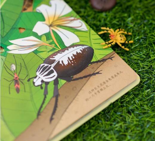 尤斯伯恩看里面（低幼版）·揭秘雨林 Look Inside揭秘系列图书，荣获英国“地理学会”银奖，80多张翻页，揭开神秘雨林的精彩 商品图2