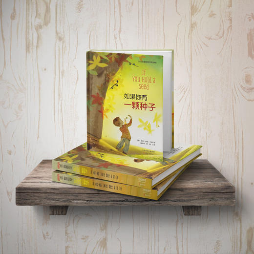 如果你有一颗种子：让孩子在诗情画意中，体验四季更替，感受希望的力量 商品图3