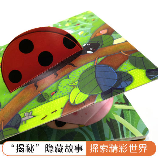 尤斯伯恩偷偷看里面·花园  接力出版社 1-4岁 英国Usborne正版授权王牌科普 经典翻翻书 商品图4