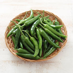 올가푸드 청양고추100g