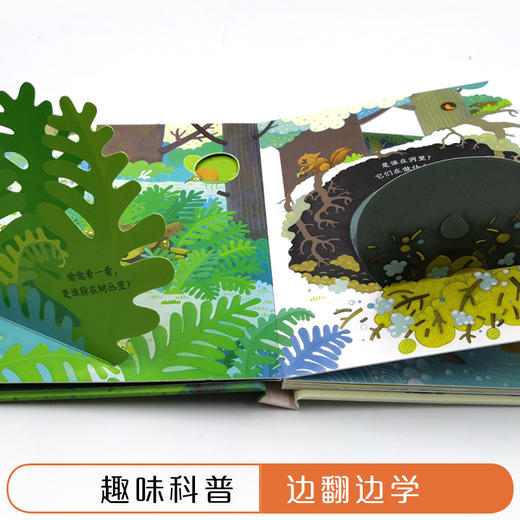 尤斯伯恩偷偷看里面·森林 接力出版社  接力出版社 1-4岁 英国Usborne正版授权王牌科普 经典翻翻书 商品图4