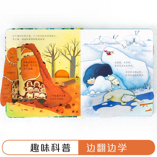 尤斯伯恩偷偷看里面·动物的家  接力出版社 1-4岁 英国Usborne正版授权王牌科普 经典翻翻书 商品图4