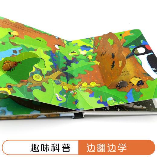 尤斯伯恩偷偷看里面·树木  接力出版社 1-4岁 英国Usborne正版授权王牌科普 经典翻翻书 商品图3