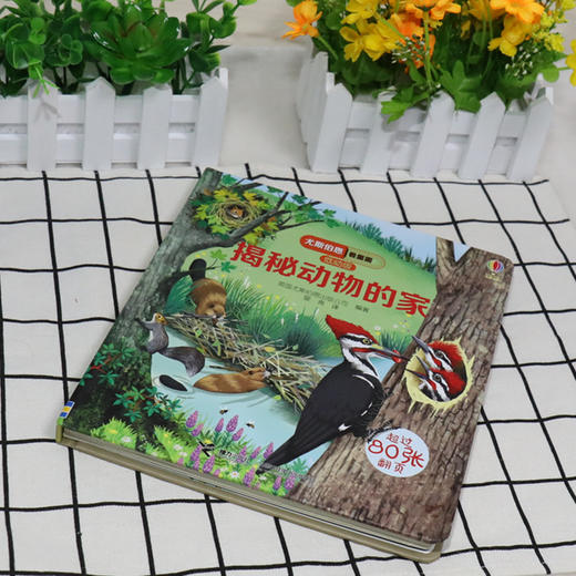尤斯伯恩看里面（低幼版）·揭秘动物的家 Look Inside揭秘系列图书，荣获英国“地理学会”银奖，80多张翻页，揭开动物之家的精彩 商品图2