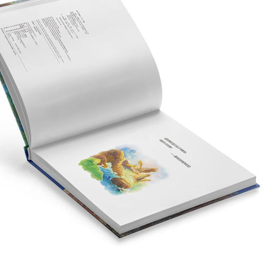 c：一位奶奶写给孙子的海洋童话，充满浓浓亲情与爱意的精致睡前故事！） 商品图2