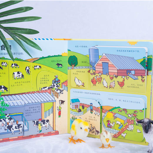 尤斯伯恩看里面（低幼版）·揭秘食物 英国Usborne出版社  Look Inside揭秘系列图书 风靡全球的科普翻翻书 被翻译成26种语言 60多张翻页 商品图5