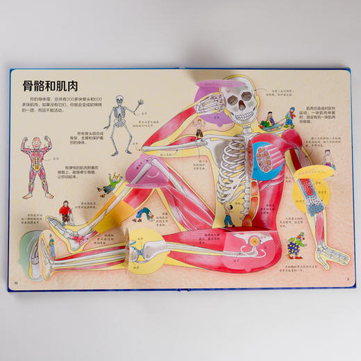 尤斯伯恩看里面·揭秘身体 Look Inside揭秘系列图书 风靡全球的科普翻翻书 被翻译成26种语言 100多张翻页 多重翻翻 深入揭秘 推拉机关 形象展示人体构造 商品图4