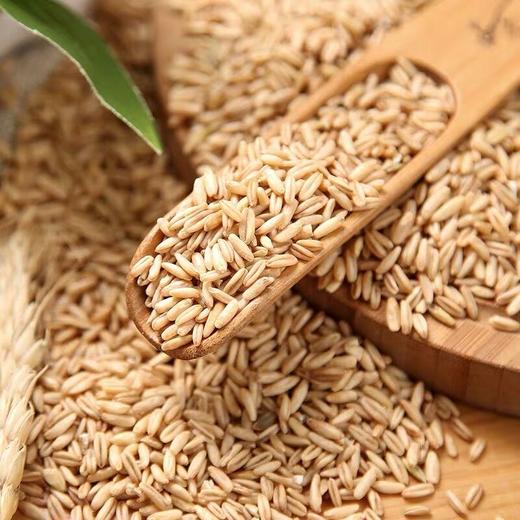 【有机燕麦米】 熟于自然 生在黑土  五谷杂粮 可煮粥煮饭 商品图1