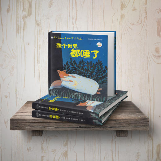 整个世界都睡了：博洛尼亚书展获奖作品，2014年受欢迎的睡前读物之一 商品图3