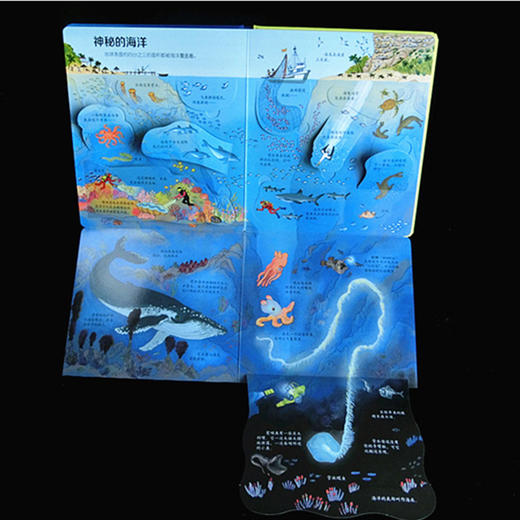 尤斯伯恩看里面（低幼版）·揭秘世界 Look Inside揭秘系列图书 荣获英国“地理学会”银奖 50多张翻页 揭开大千世界的精彩 商品图5