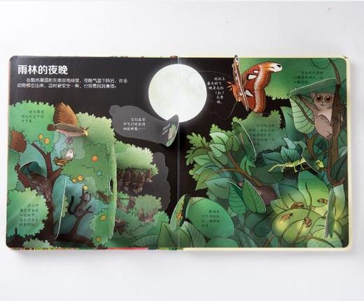 尤斯伯恩看里面（低幼版）·揭秘雨林 Look Inside揭秘系列图书，荣获英国“地理学会”银奖，80多张翻页，揭开神秘雨林的精彩 商品图6