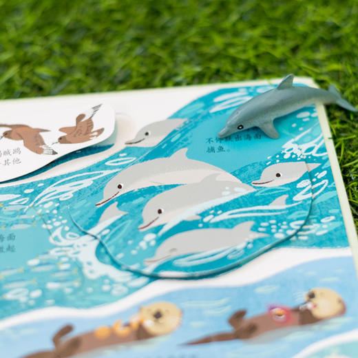 尤斯伯恩看里面（低幼版）·揭秘自然 英国Usborne出版社科普 Look Inside揭秘系列图书 荣获英国“地理学会”银奖 80多张翻页 揭开大千世界的精彩 商品图6