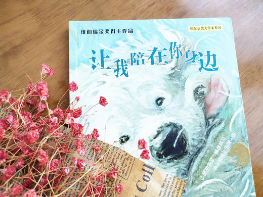 《国际获奖大作家系列》精选10册 7-15岁世界儿童文学读物 商品图4