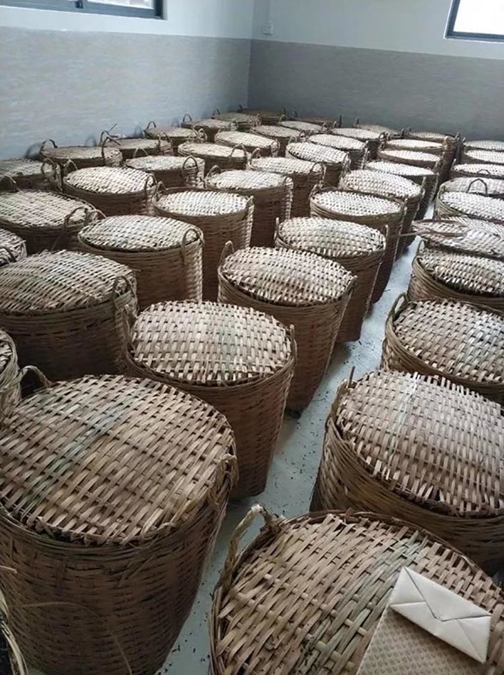 茶香记六堡大箩茶2010年槟榔香传统工艺高性价比醇厚甘甜