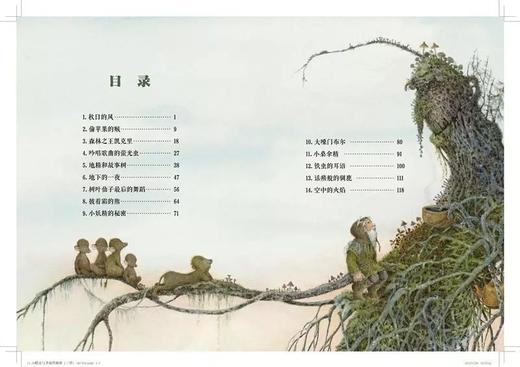 《国际获奖大作家系列》精选10册 7-15岁世界儿童文学读物 商品图12