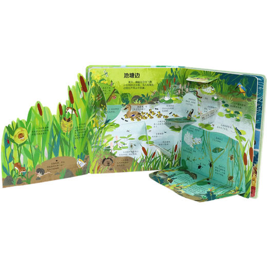 尤斯伯恩看里面（低幼版）·揭秘自然 英国Usborne出版社科普 Look Inside揭秘系列图书 荣获英国“地理学会”银奖 80多张翻页 揭开大千世界的精彩 商品图5