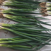 鸿翠园 有机小葱 商品缩略图2