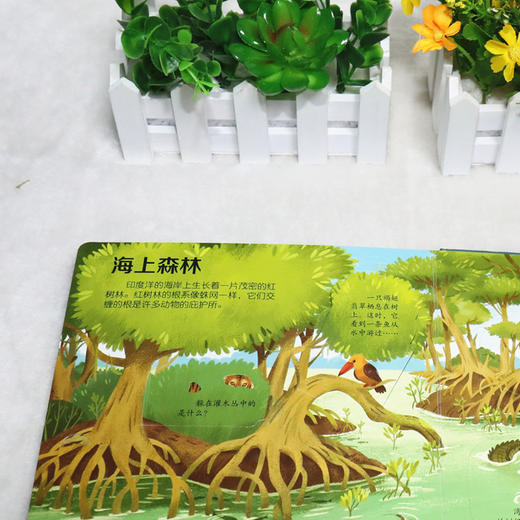 尤斯伯恩看里面（低幼版）·揭秘海洋 Look Inside揭秘系列图书，荣获英国“地理学会”银奖，50多张翻页，揭开大千世界的精彩 商品图3