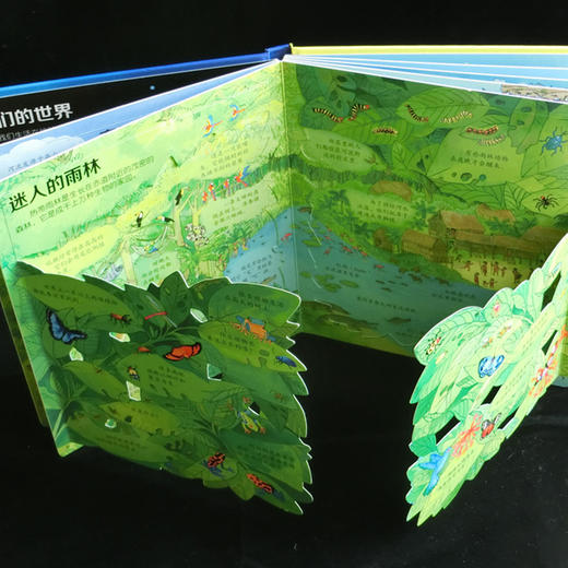 尤斯伯恩看里面（低幼版）·揭秘世界 Look Inside揭秘系列图书 荣获英国“地理学会”银奖 50多张翻页 揭开大千世界的精彩 商品图3