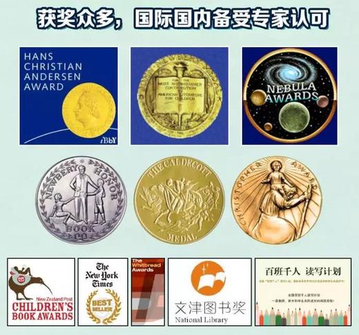 《国际获奖大作家系列》精选10册 7-15岁世界儿童文学读物 商品图3