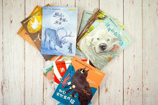 《国际获奖大作家系列》精选10册 7-15岁世界儿童文学读物 商品图2