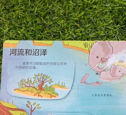 尤斯伯恩看里面（低幼版）·揭秘雨林 Look Inside揭秘系列图书，荣获英国“地理学会”银奖，80多张翻页，揭开神秘雨林的精彩 商品图4