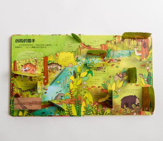 尤斯伯恩看里面（低幼版）·揭秘雨林 Look Inside揭秘系列图书，荣获英国“地理学会”银奖，80多张翻页，揭开神秘雨林的精彩 商品图5