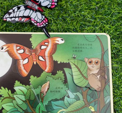 尤斯伯恩看里面（低幼版）·揭秘雨林 Look Inside揭秘系列图书，荣获英国“地理学会”银奖，80多张翻页，揭开神秘雨林的精彩 商品图3