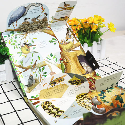 尤斯伯恩看里面（低幼版）·揭秘动物的家 Look Inside揭秘系列图书，荣获英国“地理学会”银奖，80多张翻页，揭开动物之家的精彩 商品图6