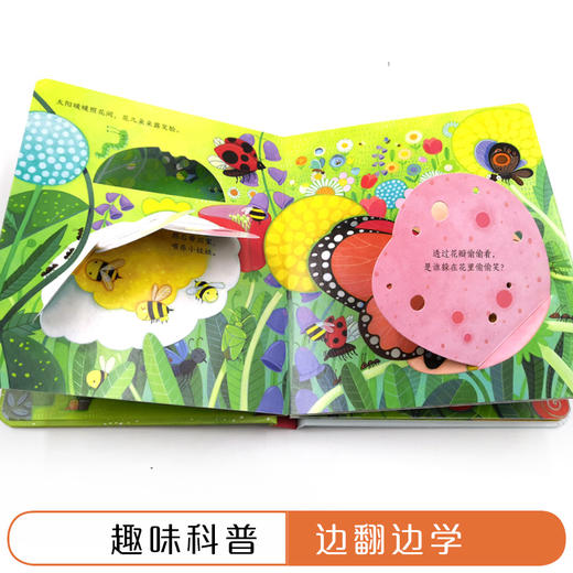 尤斯伯恩偷偷看里面·花园  接力出版社 1-4岁 英国Usborne正版授权王牌科普 经典翻翻书 商品图3