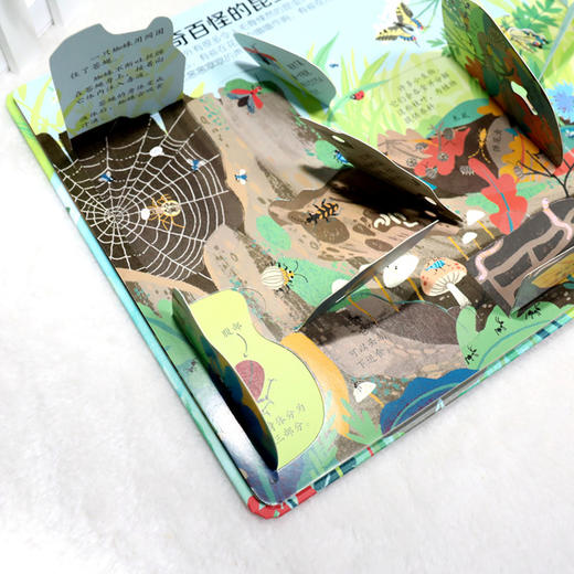 尤斯伯恩看里面（低幼版）·揭秘自然 英国Usborne出版社科普 Look Inside揭秘系列图书 荣获英国“地理学会”银奖 80多张翻页 揭开大千世界的精彩 商品图4