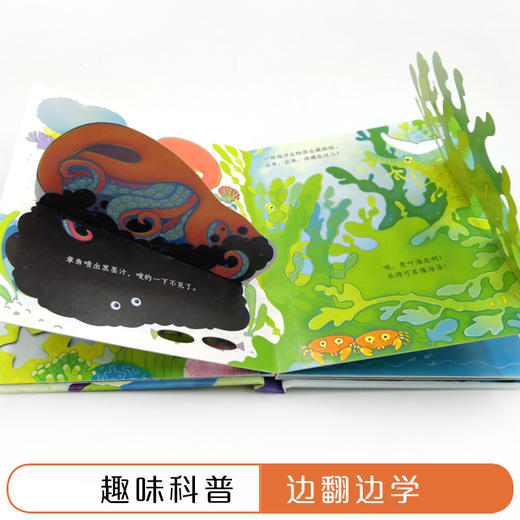 尤斯伯恩偷偷看里面·海洋  接力出版社 1-4岁 英国Usborne正版授权王牌科普 经典翻翻书 商品图4