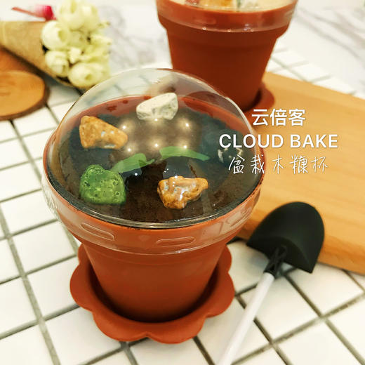 【盆栽木糠杯】6个 商品图9