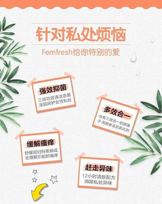 芳芯Femfreshy洋甘菊味/蔓越莓味女性私处洗液女士护理液 商品图9